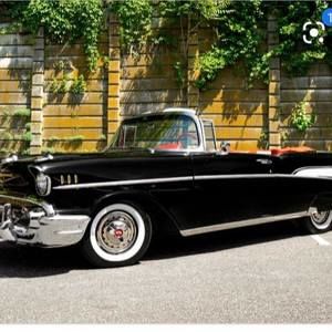 Meet your Posher, Sophia